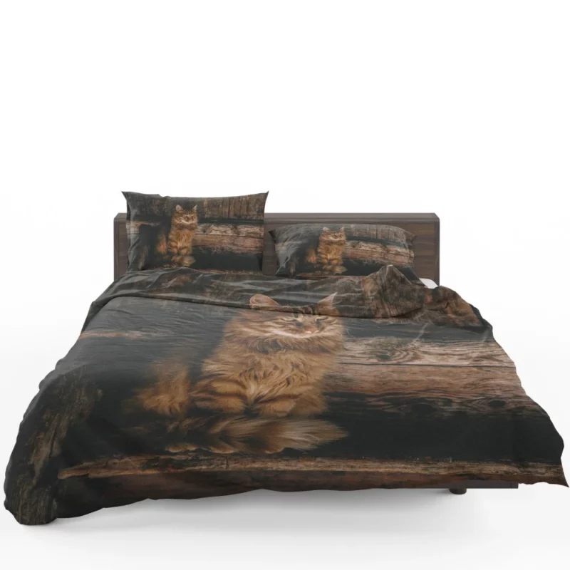 Pensive Stare Cat Gaze Bedding Set