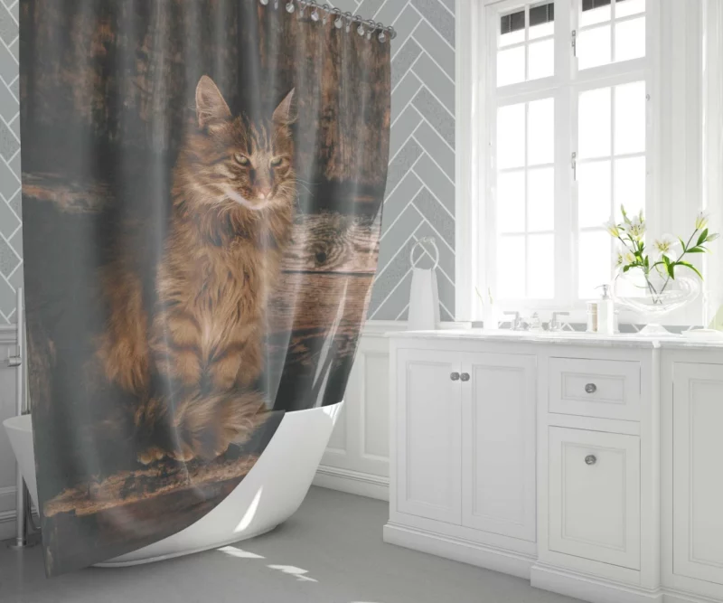 Pensive Stare Cat Gaze Shower Curtain 1