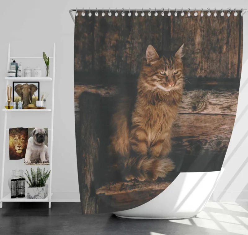 Pensive Stare Cat Gaze Shower Curtain