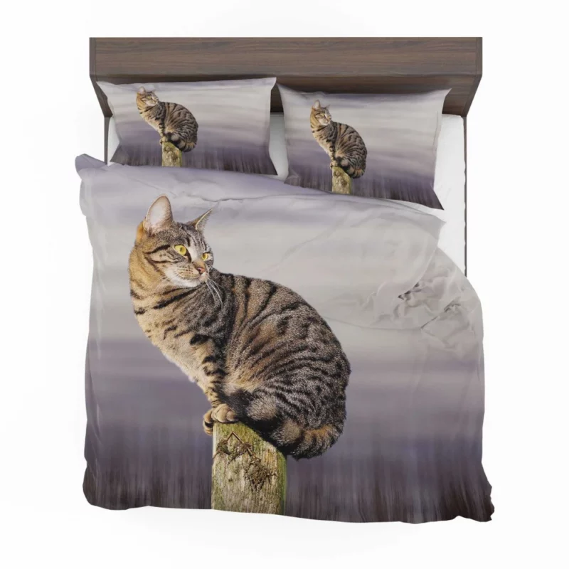 Perched Cat Watchful Stance Bedding Set 1