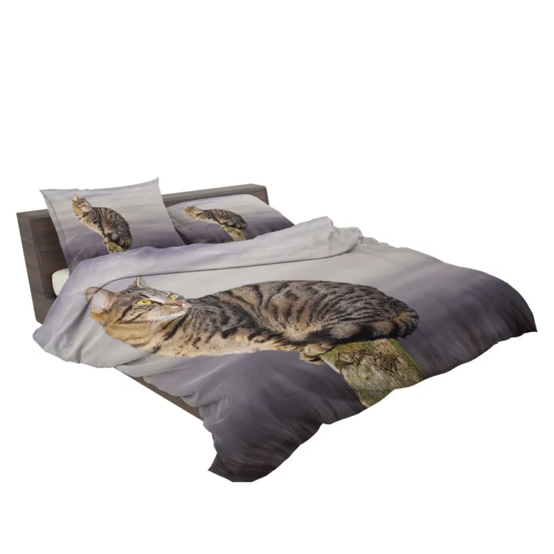 Perched Cat Watchful Stance Bedding Set 2