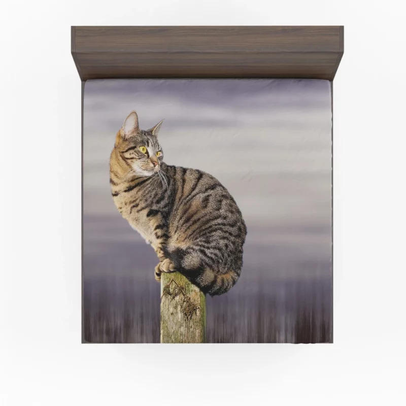 Perched Cat Watchful Stance Fitted Sheet 1