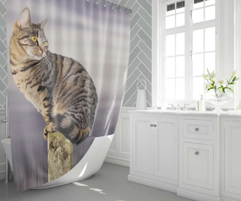 Perched Cat Watchful Stance Shower Curtain 1