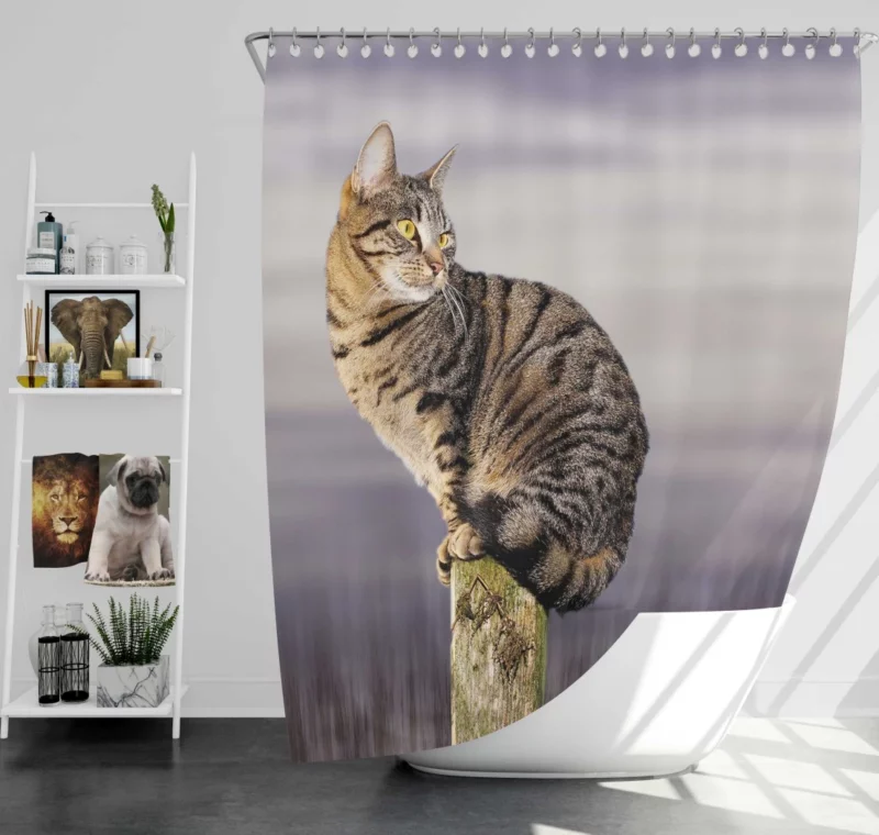 Perched Cat Watchful Stance Shower Curtain