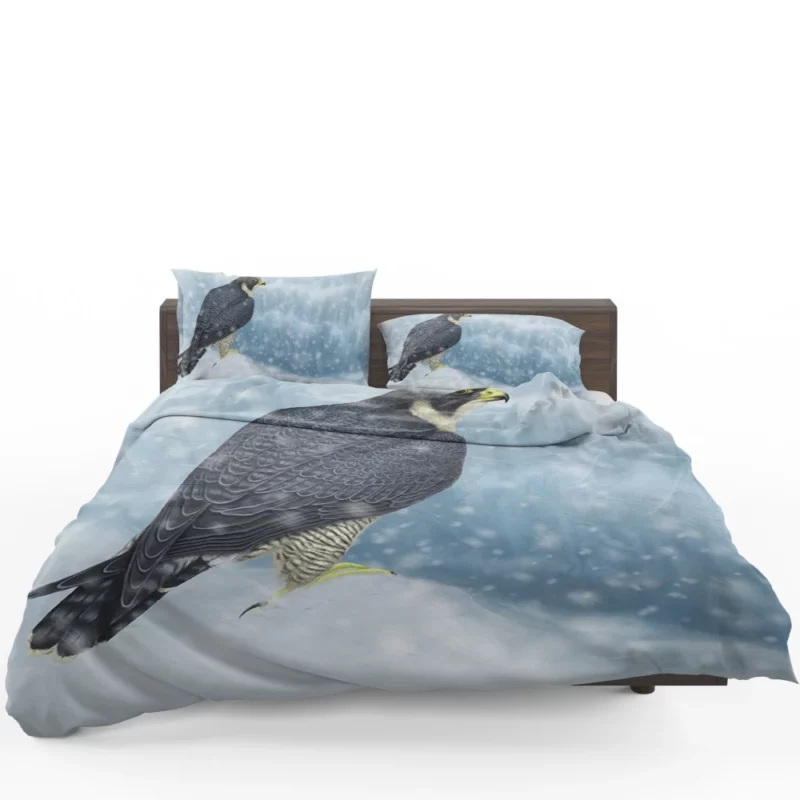 Peregrine Falcon Aerial Prowess Hunter Gaze Bedding Set