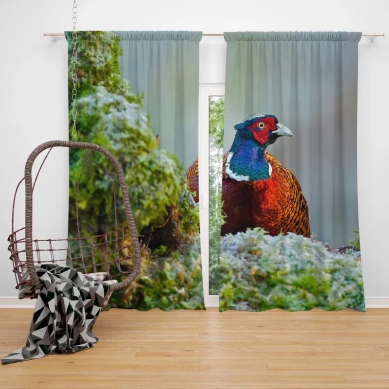 Pheasant Mossy Retreat Forest Dweller Curtain