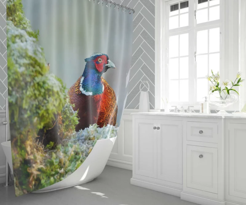 Pheasant Mossy Retreat Forest Dweller Shower Curtain 1