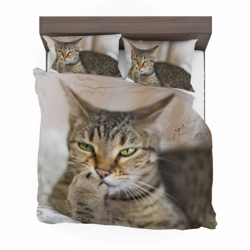 Philosophical Pondering Feline Contemplation Bedding Set 1