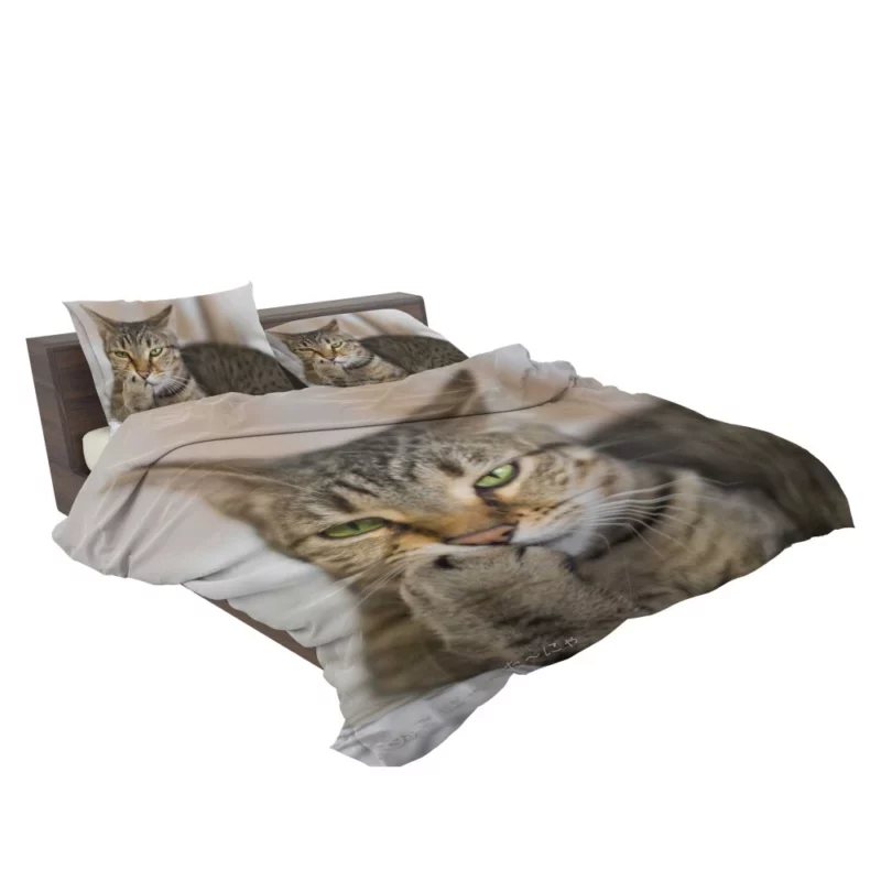 Philosophical Pondering Feline Contemplation Bedding Set 2