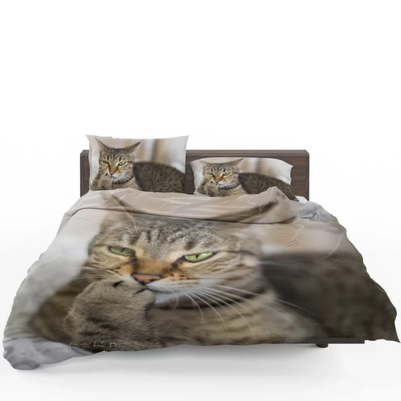 Philosophical Pondering Feline Contemplation Bedding Set