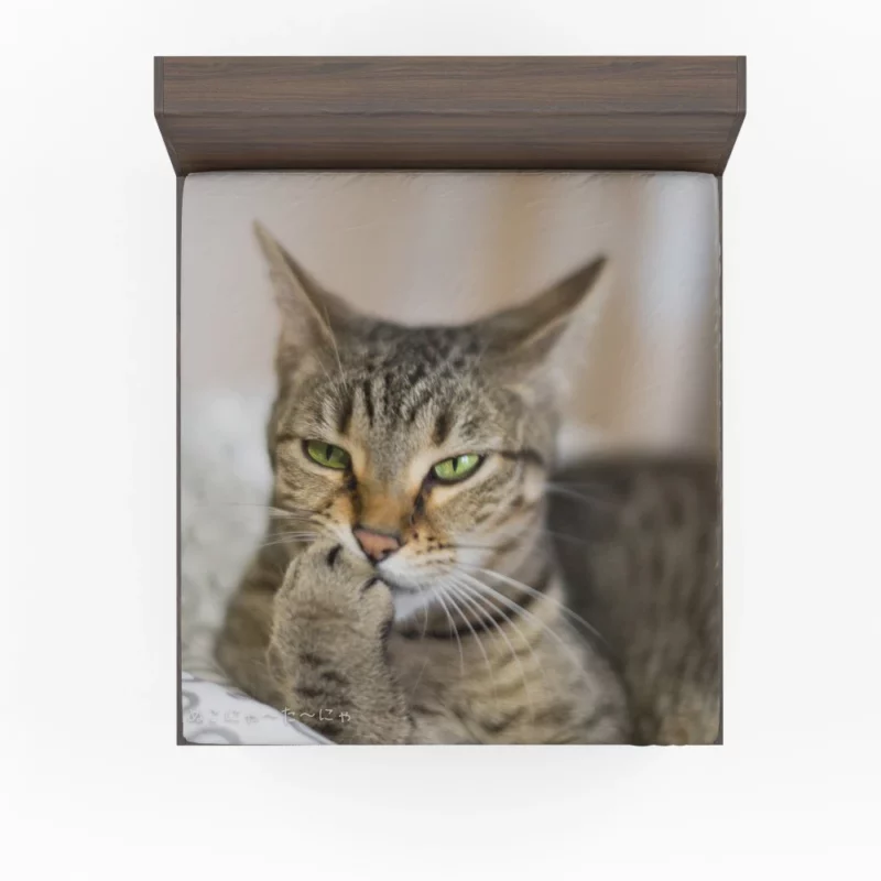 Philosophical Pondering Feline Contemplation Fitted Sheet 1