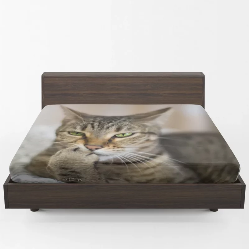 Philosophical Pondering Feline Contemplation Fitted Sheet