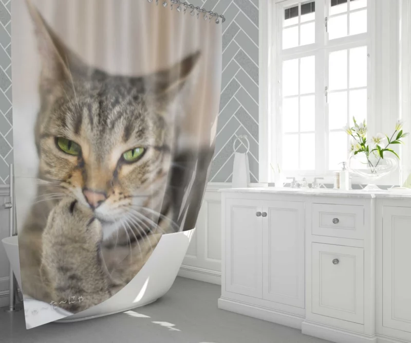 Philosophical Pondering Feline Contemplation Shower Curtain 1