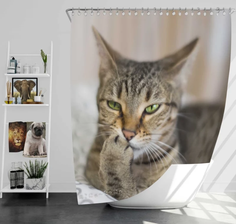 Philosophical Pondering Feline Contemplation Shower Curtain