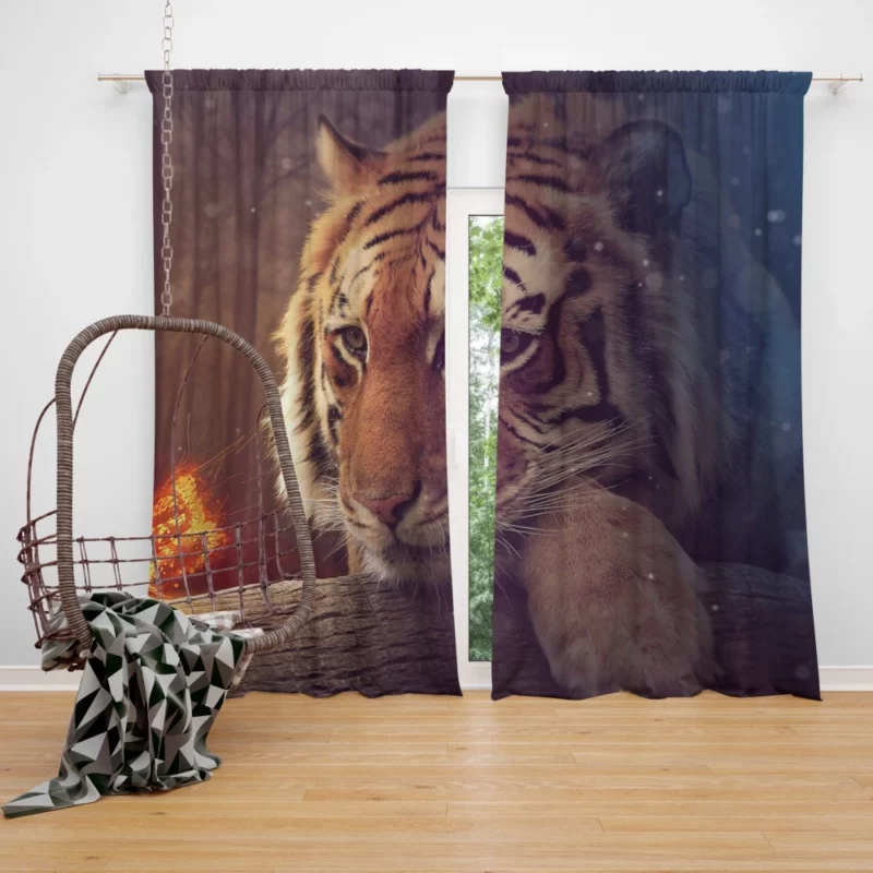 Photography Manipulation Fiery Tiger Dreams Curtain