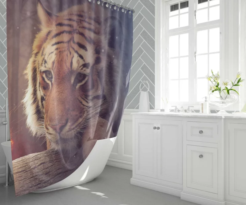 Photography Manipulation Fiery Tiger Dreams Shower Curtain 1