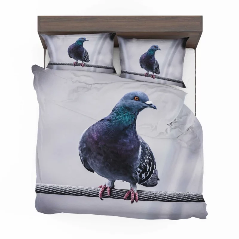 Pigeon City Dwelling Bedding Set 1