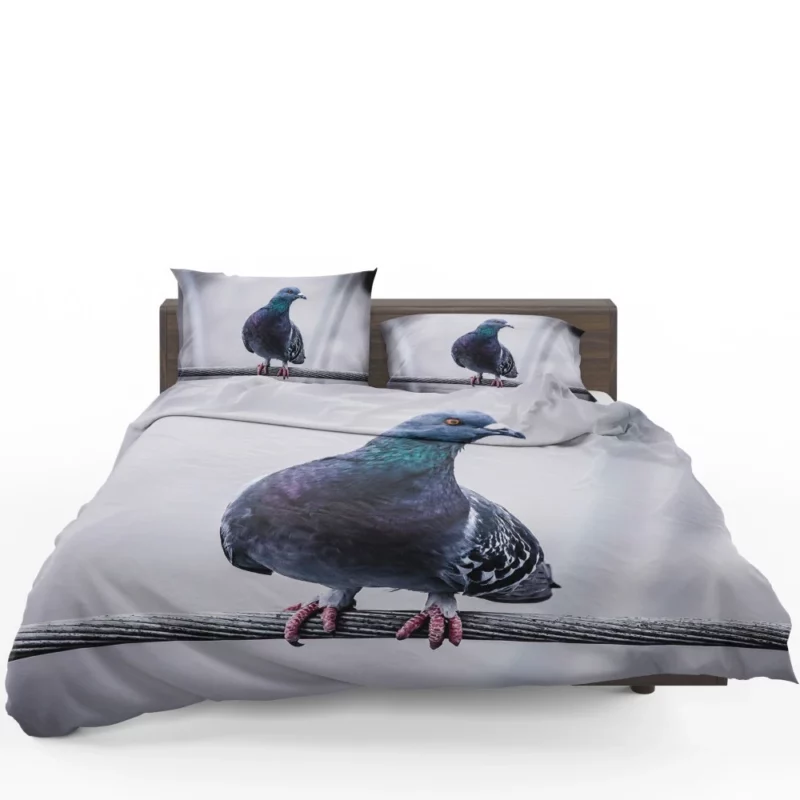 Pigeon City Dwelling Bedding Set