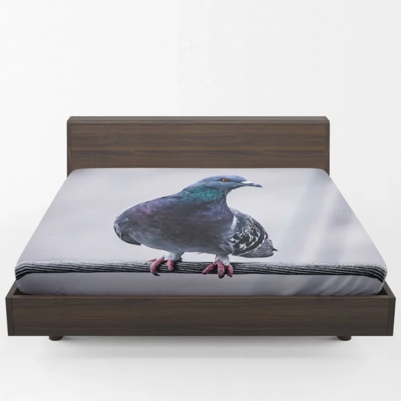 Pigeon City Dwelling Fitted Sheet