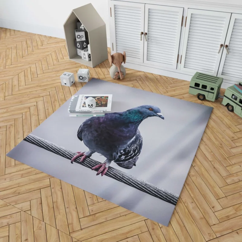 Pigeon City Dwelling Rug 1