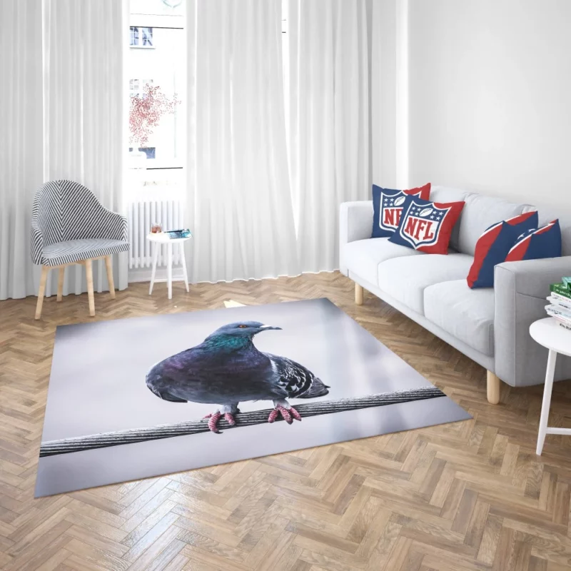 Pigeon City Dwelling Rug 2