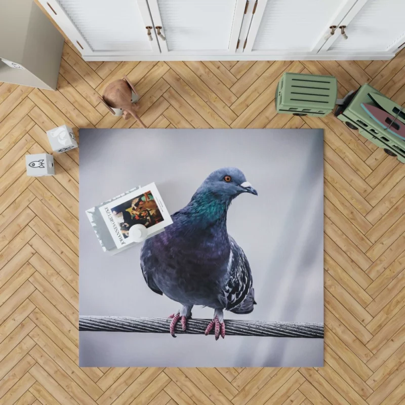 Pigeon City Dwelling Rug