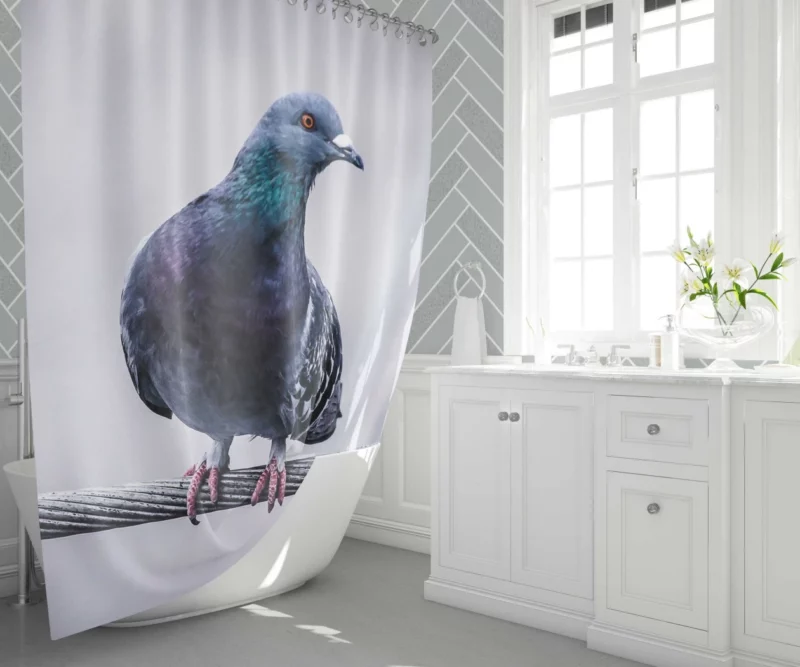 Pigeon City Dwelling Shower Curtain 1