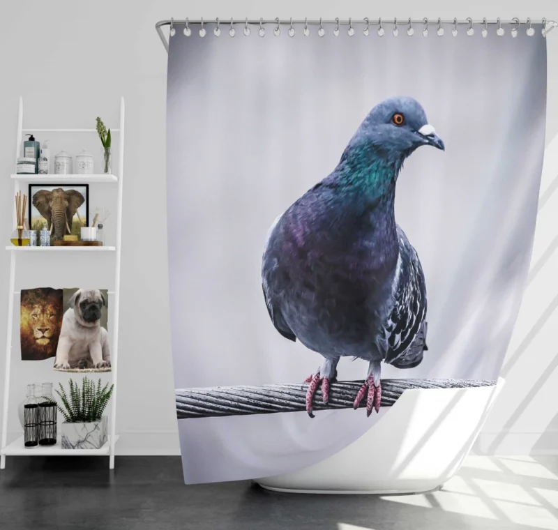 Pigeon City Dwelling Shower Curtain