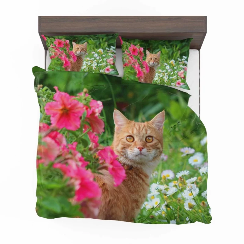 Pink Flower Encounter Cat Curious Stare Bedding Set 1