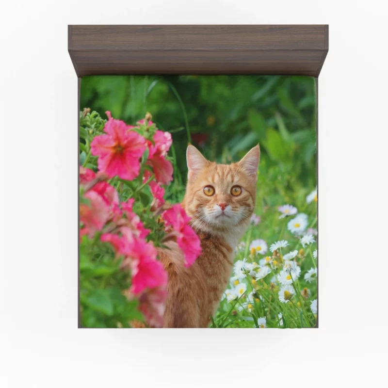 Pink Flower Encounter Cat Curious Stare Fitted Sheet 1