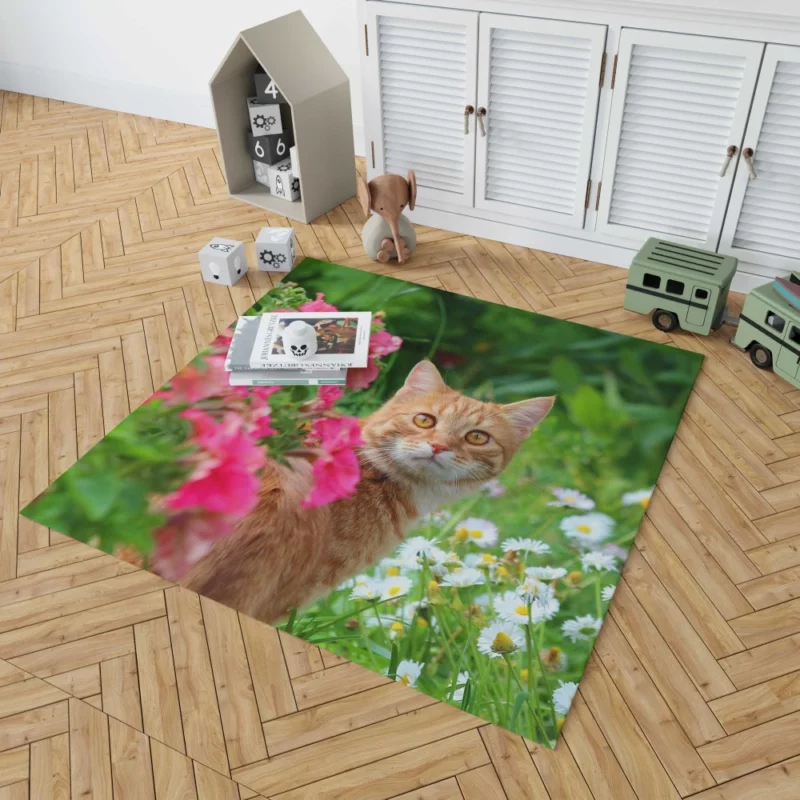 Pink Flower Encounter Cat Curious Stare Rug 1