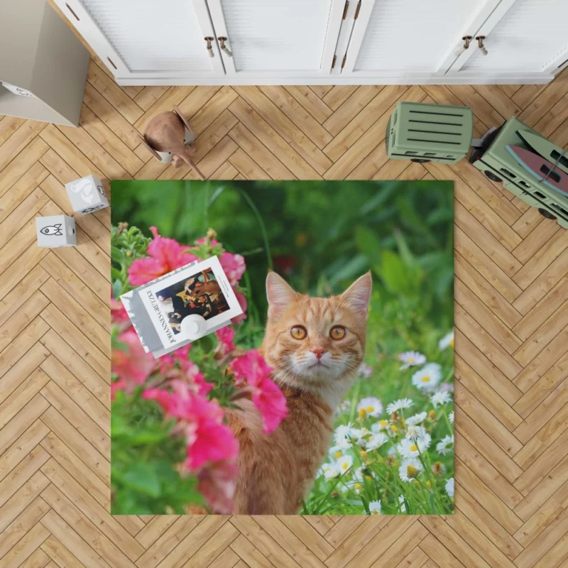 Pink Flower Encounter Cat Curious Stare Rug