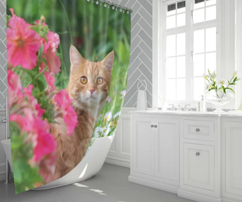 Pink Flower Encounter Cat Curious Stare Shower Curtain 1