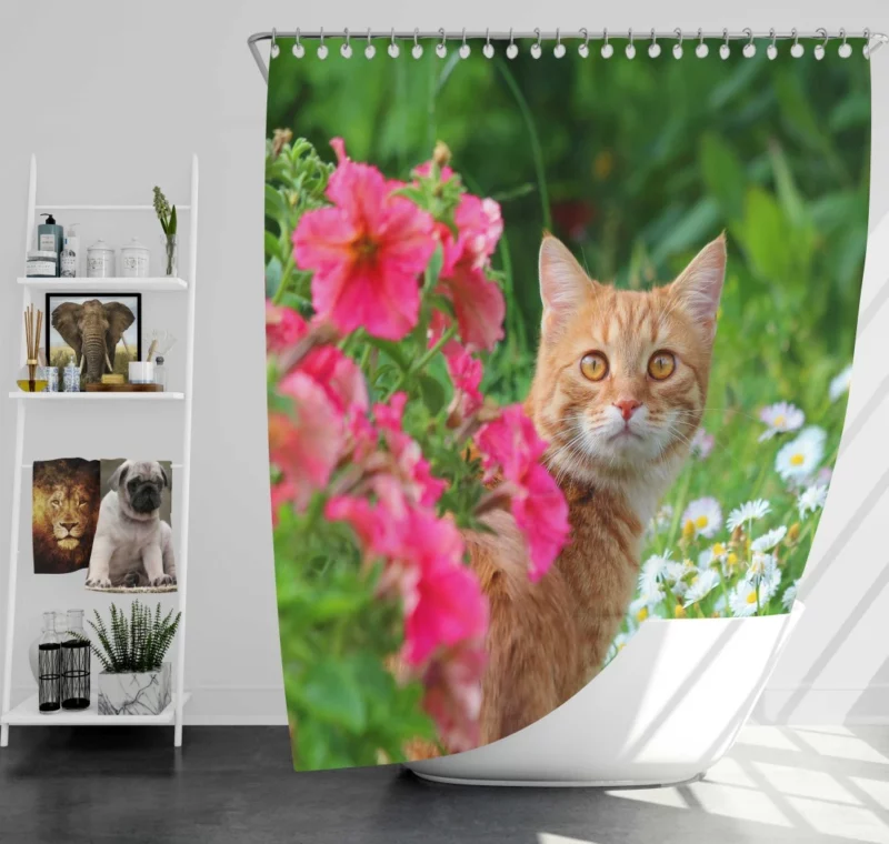 Pink Flower Encounter Cat Curious Stare Shower Curtain