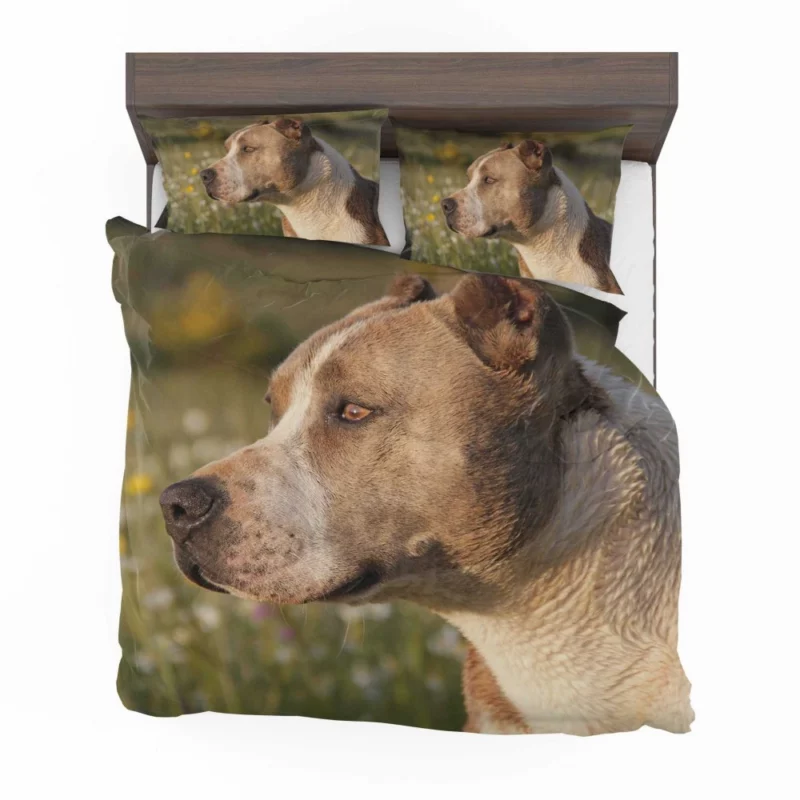 Pit Bull Intense Close-Up Bold Beauty Bedding Set 1