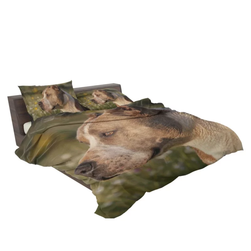 Pit Bull Intense Close-Up Bold Beauty Bedding Set 2