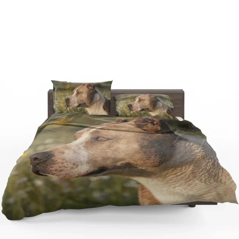 Pit Bull Intense Close-Up Bold Beauty Bedding Set