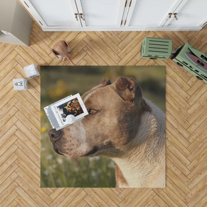 Pit Bull Intense Close-Up Bold Beauty Rug