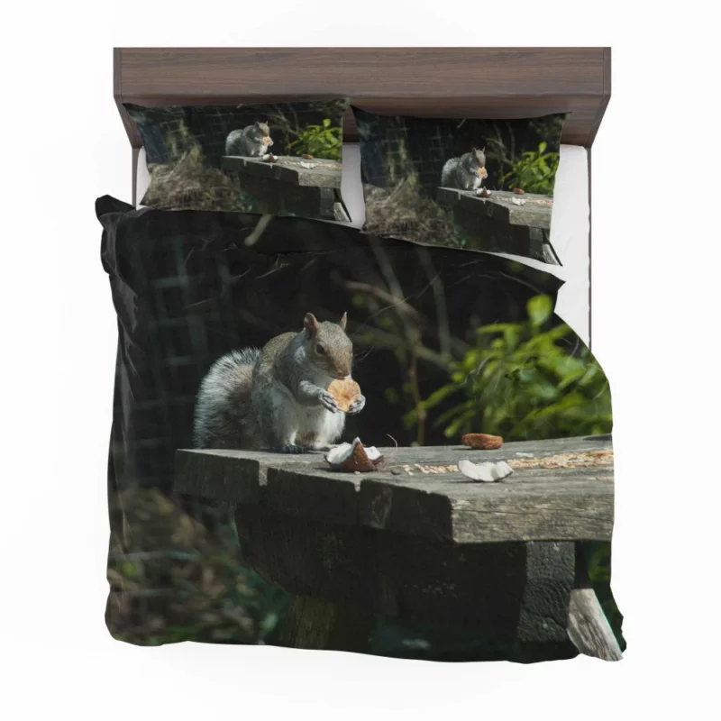 Playful Acrobat Squirrel Natural Show Bedding Set 1