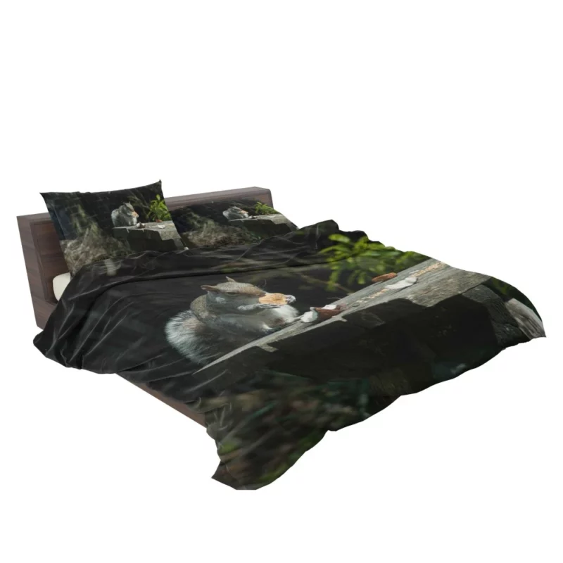 Playful Acrobat Squirrel Natural Show Bedding Set 2