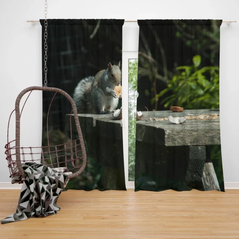 Playful Acrobat Squirrel Natural Show Curtain