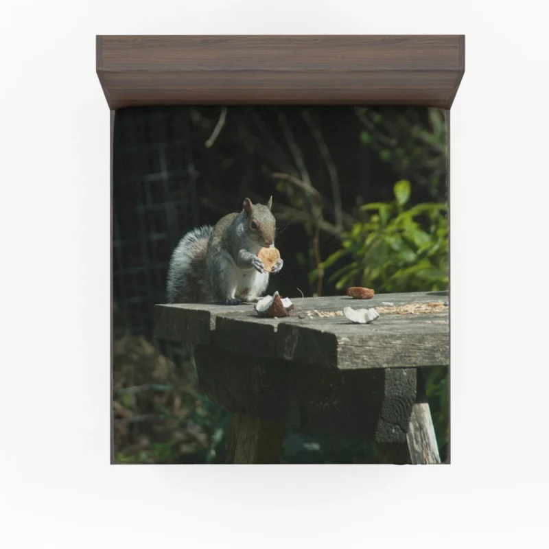 Playful Acrobat Squirrel Natural Show Fitted Sheet 1