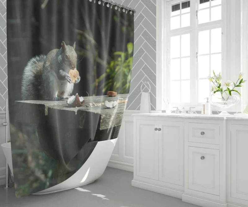 Playful Acrobat Squirrel Natural Show Shower Curtain 1