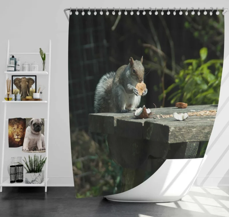 Playful Acrobat Squirrel Natural Show Shower Curtain