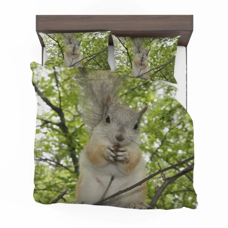 Playful Acrobatics Squirrel Nature Dance Bedding Set 1