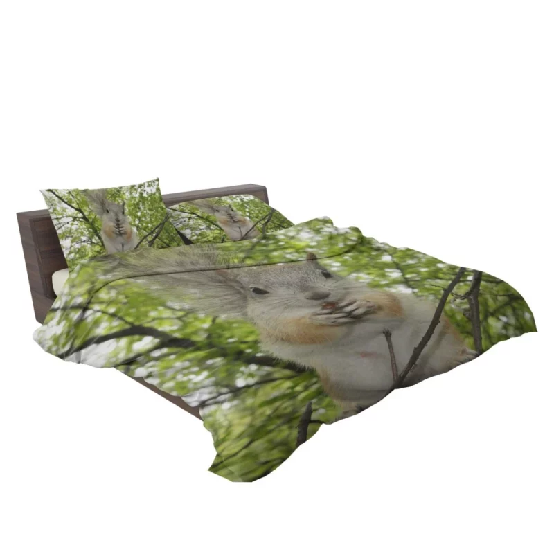 Playful Acrobatics Squirrel Nature Dance Bedding Set 2