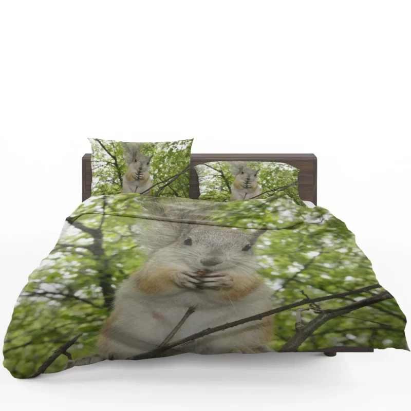 Playful Acrobatics Squirrel Nature Dance Bedding Set