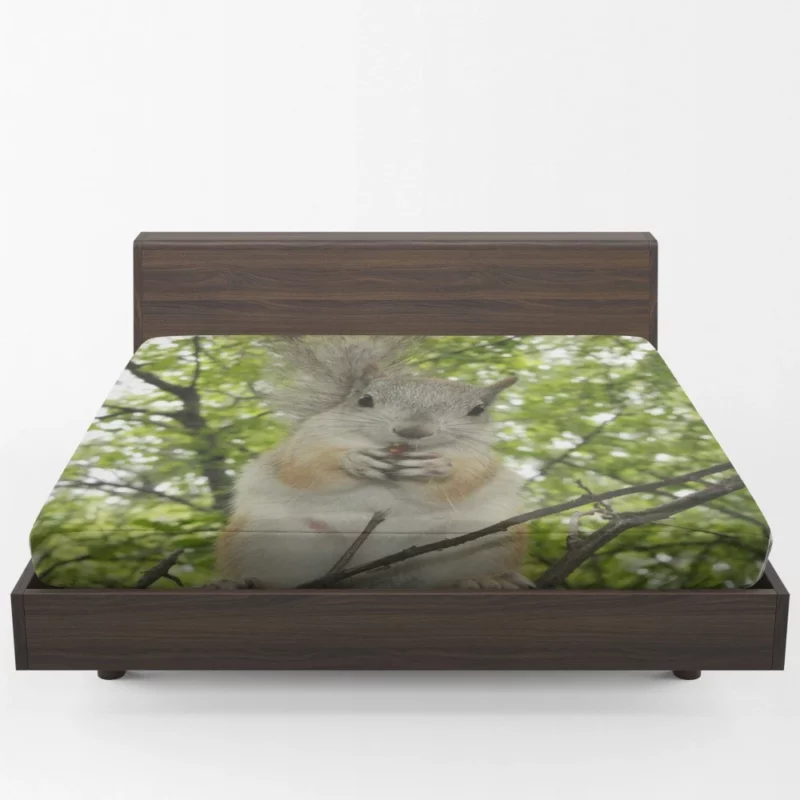 Playful Acrobatics Squirrel Nature Dance Fitted Sheet