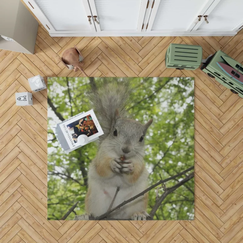 Playful Acrobatics Squirrel Nature Dance Rug