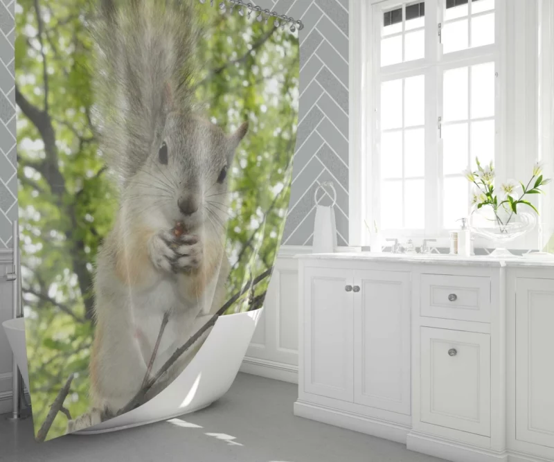 Playful Acrobatics Squirrel Nature Dance Shower Curtain 1